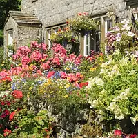 Аромат для свечи и мыла Английский сад(аромамасло CandleScience English Garden)