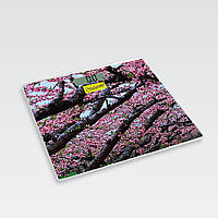 Ваги MR-1823 Maestro (підлогові- Електричнийнні/скло)