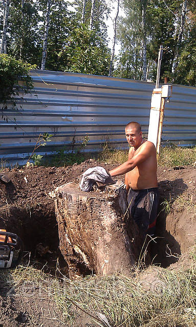Викорчувати пень