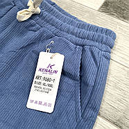 Джогери жіночі вельвет кольорові Kenalin, розмір 4XL-5XL, асорті, 9660-1, фото 3