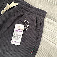 Штани жіночі вельвет кольорові Kenalin, розмір 4XL-5XL, асорті, 9660-2, фото 3