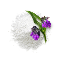 Аллантоин - Активные компоненты увлажняющего крема для лица c корнем имбиря Q+A Ginger Root Daily Moisturiser Аллантоин - Активные компоненты увлажняющего крема для лица c корнем имбиря Q+A Ginger Root Daily Moisturiser