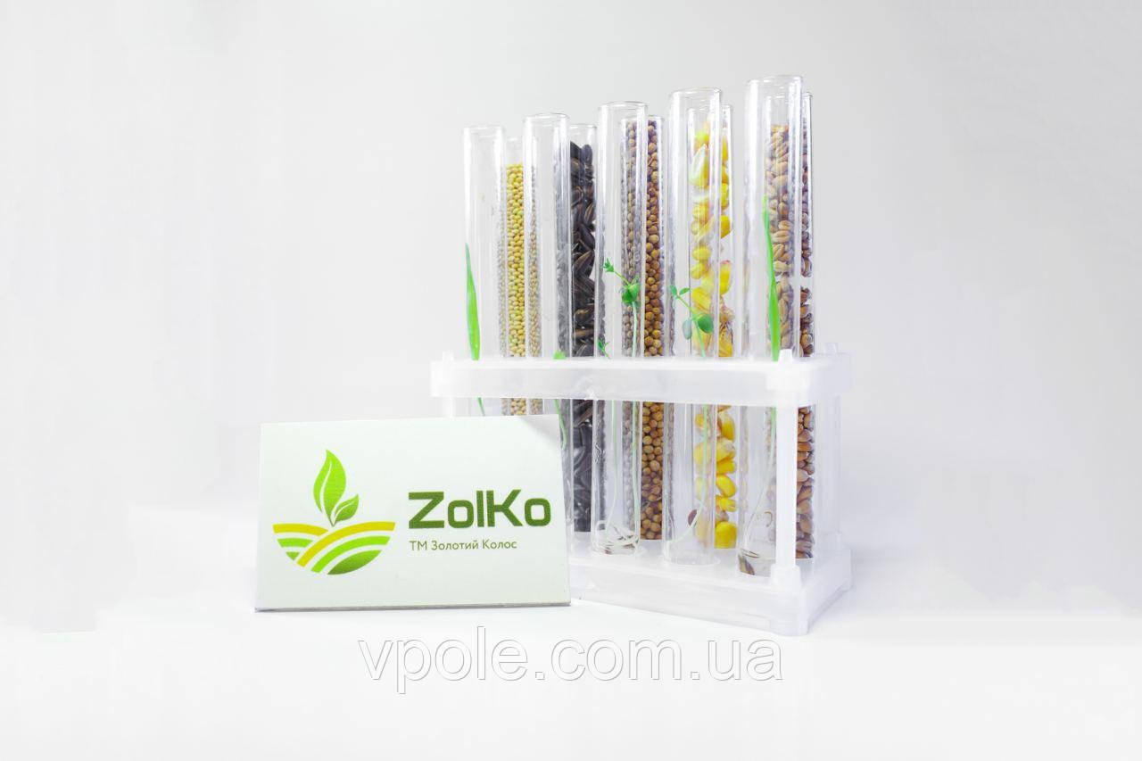 ГОРОХ Зимуючий Балтрап (жовтий) Друга репр 2025, фото 1