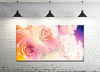 Картина на холсте на стену для интерьера/спальни/офиса DK Нежные розы 50х100 см (DKP50100-c276)