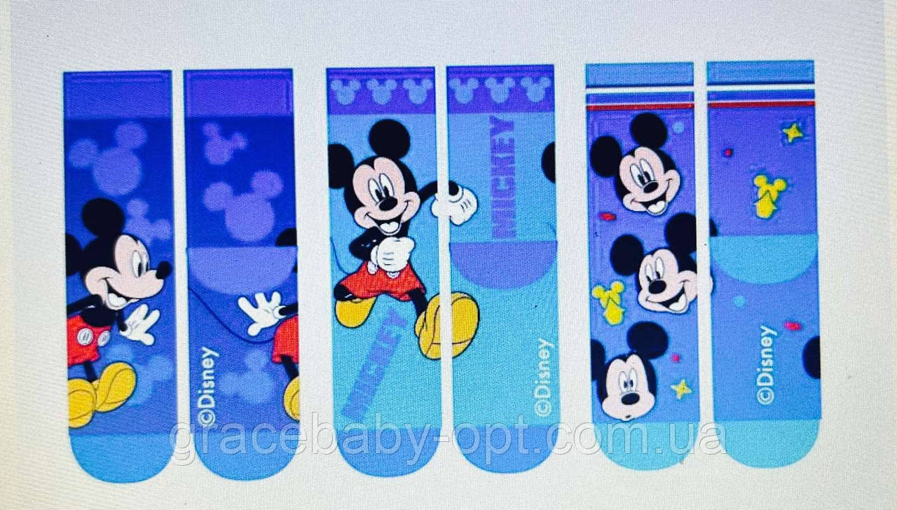 Шкарпетки для хлопчиків оптом, DISNEY, 23/26-31/34 рр., № MIC-A-Socks-128