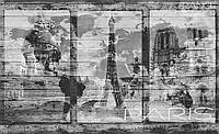 Фотообои на стену 368x254 см Достопримечательности Парижа на серых досках (1990P8)+клей