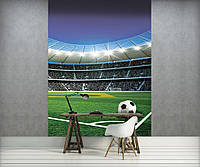 Флизелиновые фотообои фото Спорт 184x254 см 3Д Футбол - Мяч на стадионе (1914V4A)+клей