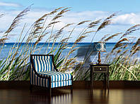 Флизелиновые фотообои природа 254x184 см 3Д Ландшафт Небо Облака Море Трава на пляже (1976V4)+клей