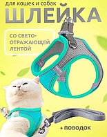 Шлейка анатомическая и поводок 150 см Kafuli Pet Collection для собак и кошек 3-15 кг XS Голубой