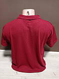 Чоловіча футболка поло Туреччина Знак 40-50 розміри 100% бавовна бордо, фото 2