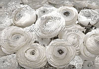 Флизелиновые фотообои надписи цветы 254x184 см Черно-белый лютик азиатский (2424V4)+клей