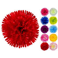 Гвоздика гігант, 14см