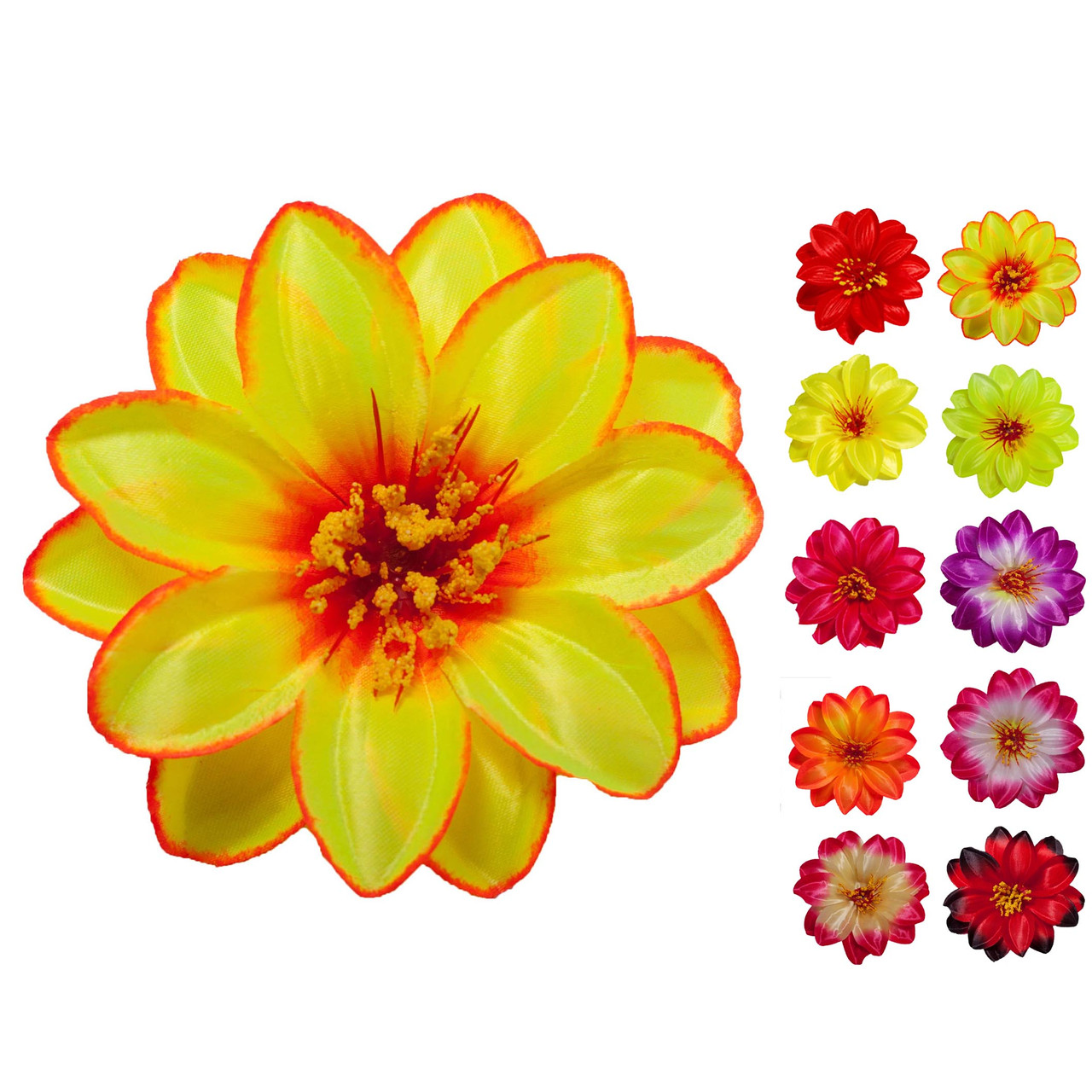 Крокус подвійний атлас, 13см, фото 1