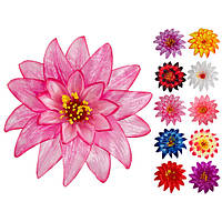 Крокус потрійний атлас, 15см