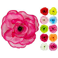 Еустома, 8 см