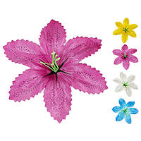 Лілія атлас плямиста, 15см