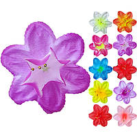 Нарцис атлас з тичинкою намистинкою, 14,5см