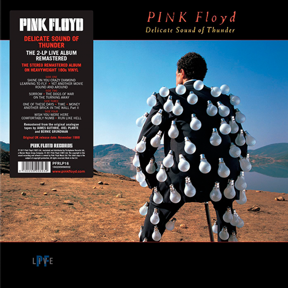 Pink Floyd - Delicate Sound of Thunder