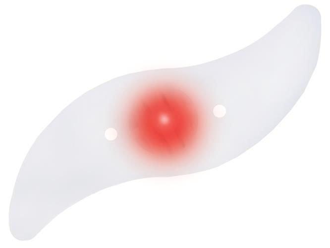 Говорить світлодіодне світло Польща Iso Trade 3649