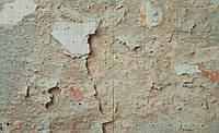 Фото обои под бетон 368x254 см Старая штукатурка на стене (2694P8)+клей
