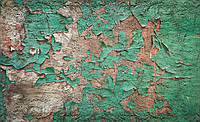 Готовые флизелиновые фотообои стиль лофт 312x219 см Старая зеленая побелка на стене (2699VEXXL)+клей