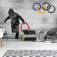 Фотообои искусство граффити на кирпичной стене 368x254 см Бэнкси Олимпийские кольца (3024P8)+клей