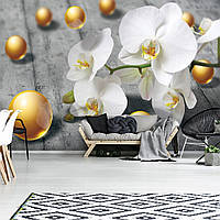 Красивые фотообои на кухню 3д цветы 254x184 см Белые орхидеи и золотые шарики на сером фоне (3067P4)+клей