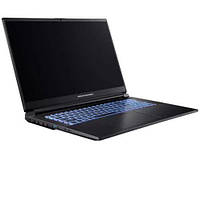 Ноутбук Dream Machines RG3050-17 (RG3050-17UA35)