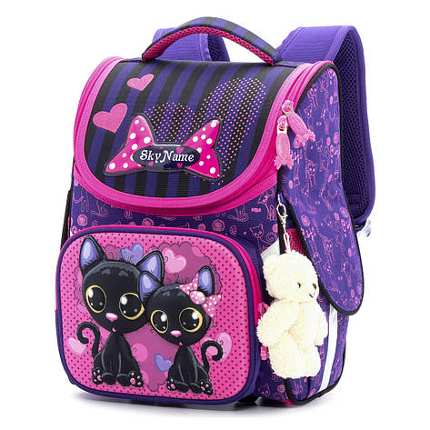 Шкільний ранець для дівчаток Skyname 2070, фото 1