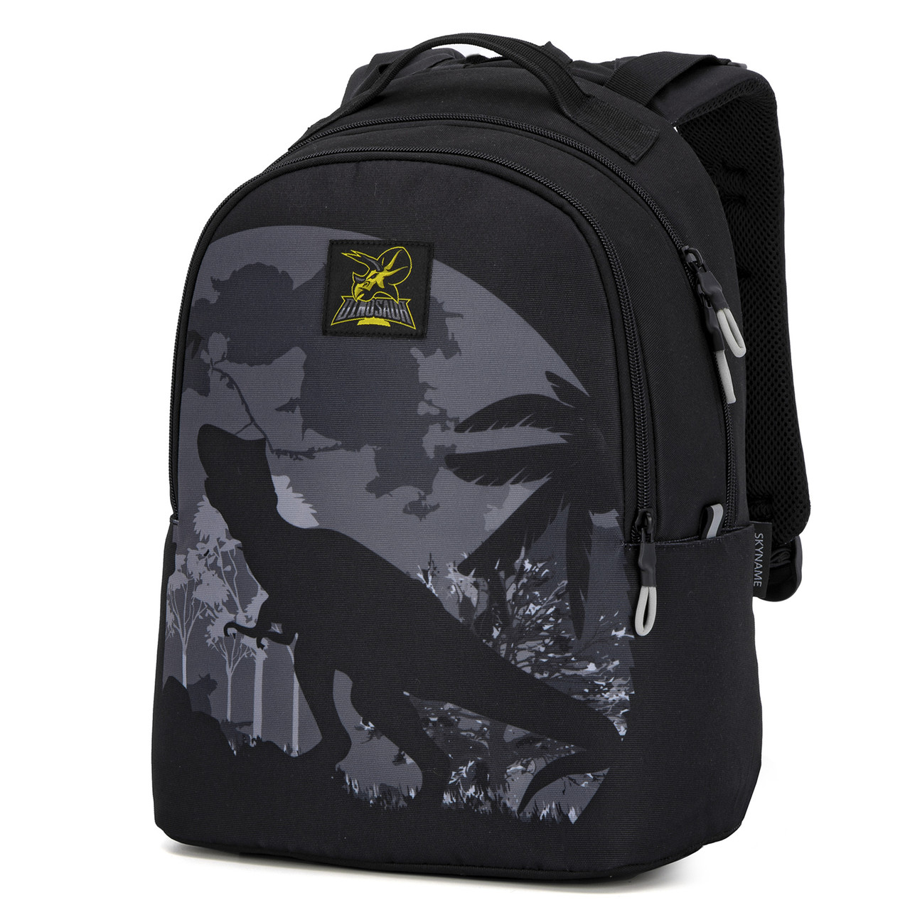 Рюкзак молодіжний повсякденний Winner /SkyName 90-122