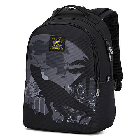 Рюкзак молодіжний повсякденний Winner /SkyName 90-122, фото 1