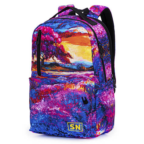 Рюкзак молодіжний повсякденний Winner /SkyName 77-11, фото 1