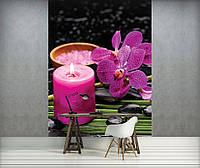 Флизелиновые фотообои камень и 3д цветы 184x254 см СПА Розовые орхидеи и свечка на черном фоне (3399V4A)+клей