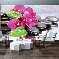 Флизелиновые фотообои в интерьере 3д СПА розовые орхидеи 416x254 см Цветы на камнях под дождем