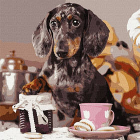 Набір для розпису по номерах "Пухнастий кухар" 40х40см. Складність 4 з 5.