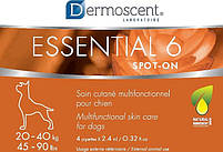 Краплі на Холку для Собак Dermoscent (Дермосент) Essential 6 spot-on вагою від 10 до 20 кг (4 ампули), фото 2