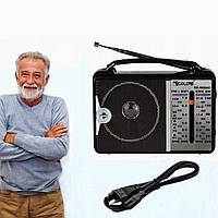 Кишеньковий міні-Радіоприймач Радіо Golon RX 606 AC Black