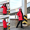 Подовжена тепла жіноча курточка з капюшоном на ситепоні +200 розміри норма і батал, фото 5
