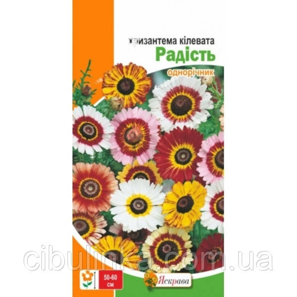 Насіння Хризантема Радість Яскрава (Фасовка: 0.3 г), фото 1