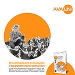 Комбікорм для молодняку курей несучок AVA UNI HG на гровері, фото 7