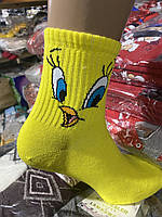 Шкарпетки з вишивкою Ципа