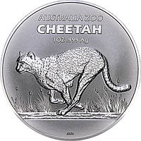 Срібна монета 1oz Австралійський Зоопарк: Гепард 1 долар 2021 Австралія