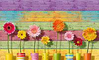 Фотошпалери на стіну 3д квіти 254x184 см Гербери в горщиках на фоні різнокольорових дерев'яних дощок (3707P4)+клей