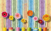 Флизелиновые фотообои для кухни 3д цветы 312x219 см Герберы в горшках на фоне цветных досок (3708VEXXL)+клей
