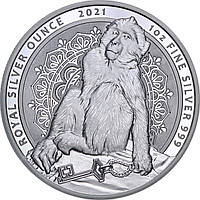 Серебряная монета 1oz Берберийская Макака 2 фунта 2021 Гибралтар