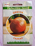 Насіння лука Галант 10 г НК Еліт, фото 2