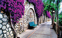 Фотообои в зал 3д цветы на камнях 254x184 см Скамейка на красивой итальянской улице (697P4)+клей