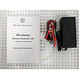 Інкубатор Веселе сімейство 12ВДВ, фото 3