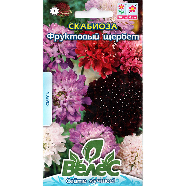 Насіння скабіози "Фруктовий щербет" (0,3 г) від ТМ "Велес"