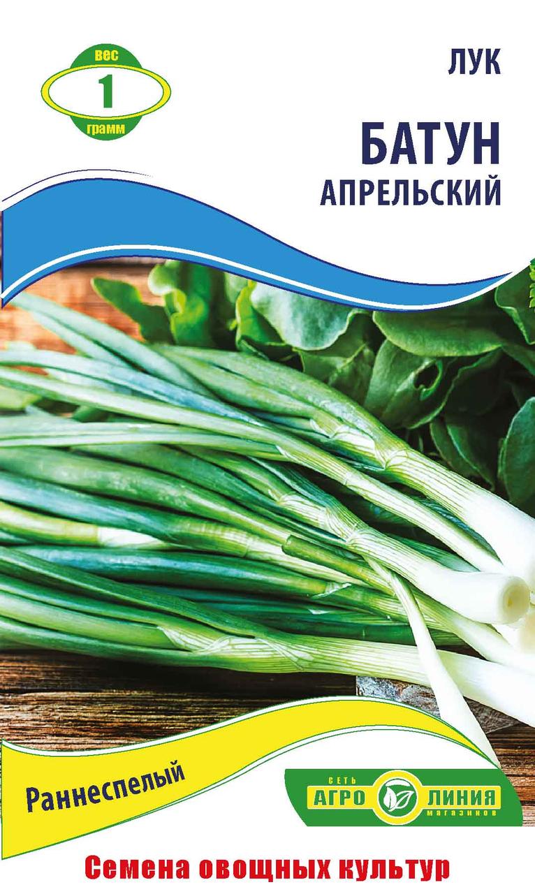Насіння цибулі «Батун Квітневий» 1 г